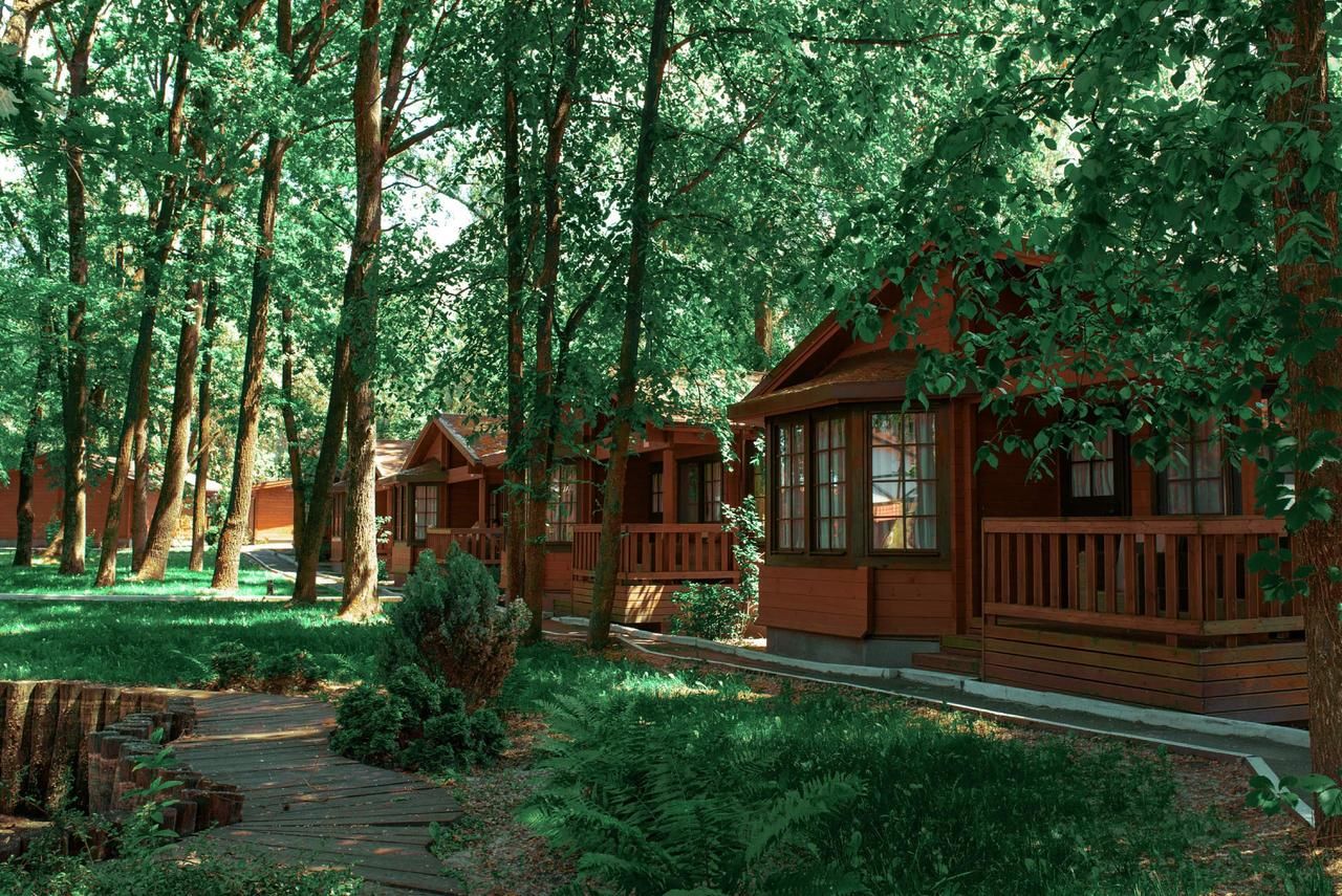 Отель Селена Дахновка-31